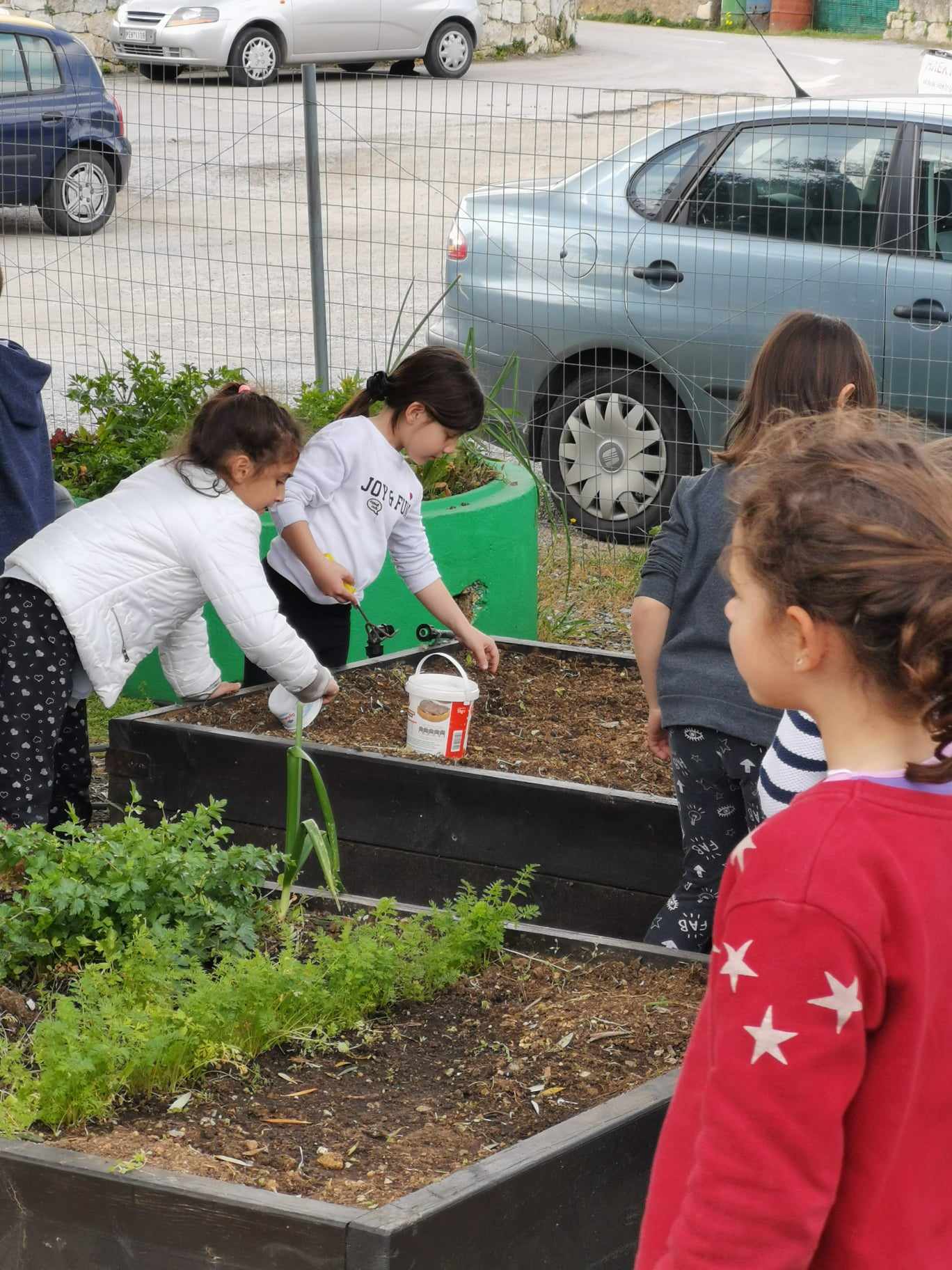 Σχολικός κήπος